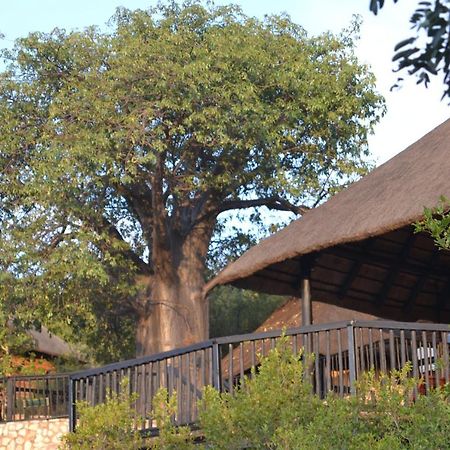 Adansonia Eco Lodge Musina Exterior foto