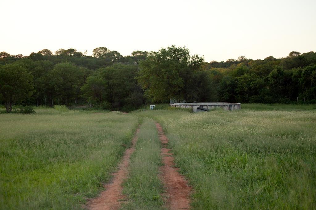 Adansonia Eco Lodge Musina Exterior foto