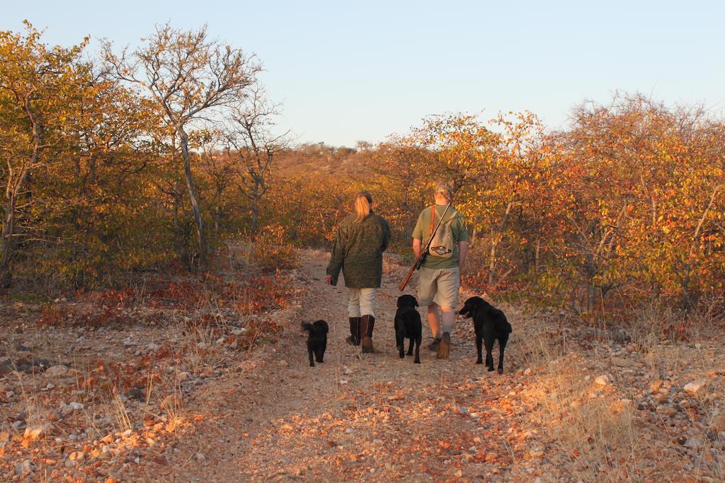 Adansonia Eco Lodge Musina Exterior foto