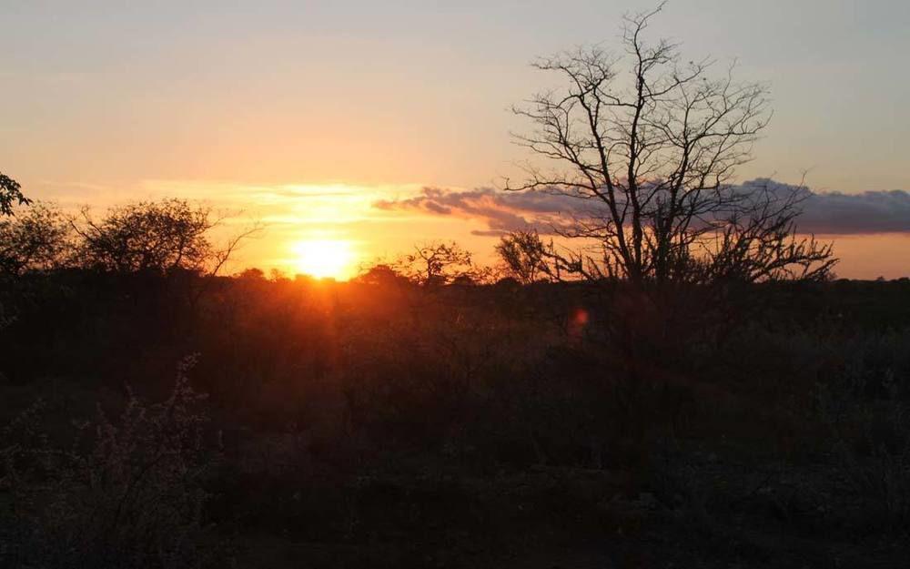 Adansonia Eco Lodge Musina Exterior foto