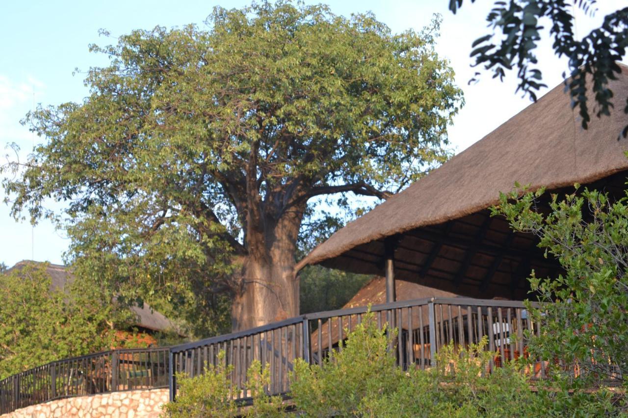 Adansonia Eco Lodge Musina Exterior foto