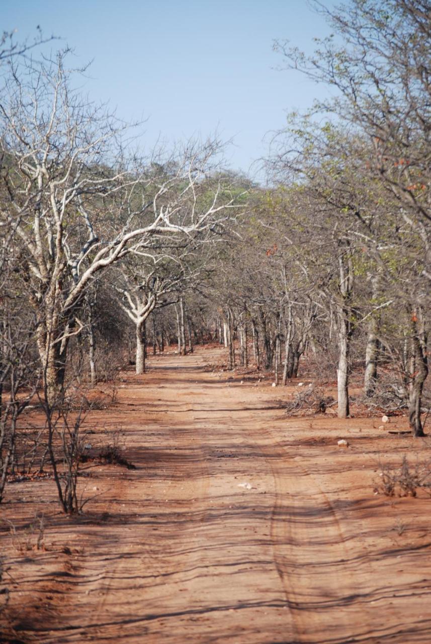 Adansonia Eco Lodge Musina Exterior foto